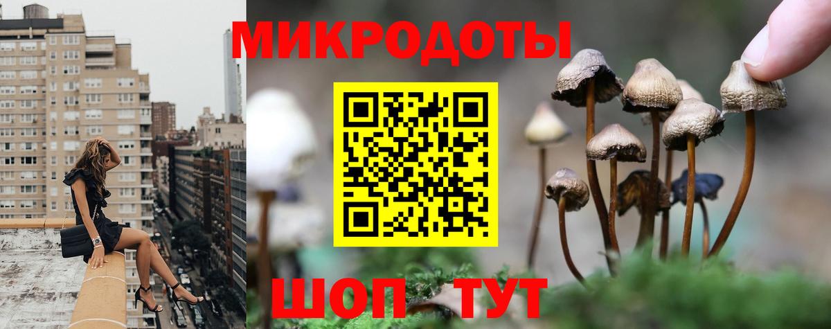 Галлюциногенные грибы мицелий Кимры