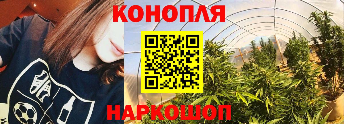 Кимры  Бошки Шишки гибрид  Бошки Шишки SATIVA & INDICA  Канабис AK-47  Вход с VPN 